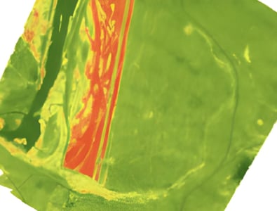 hyperspectral image analysis