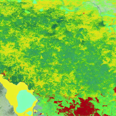 Understanding the Normalized Difference Vegetation Index (NDVI)