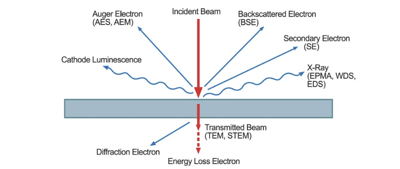 Electron Microscope and Energy Dispersive Spectroscopy